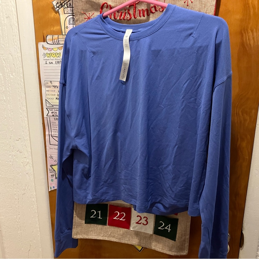 Lululemon abrasion resistant long sleeve top